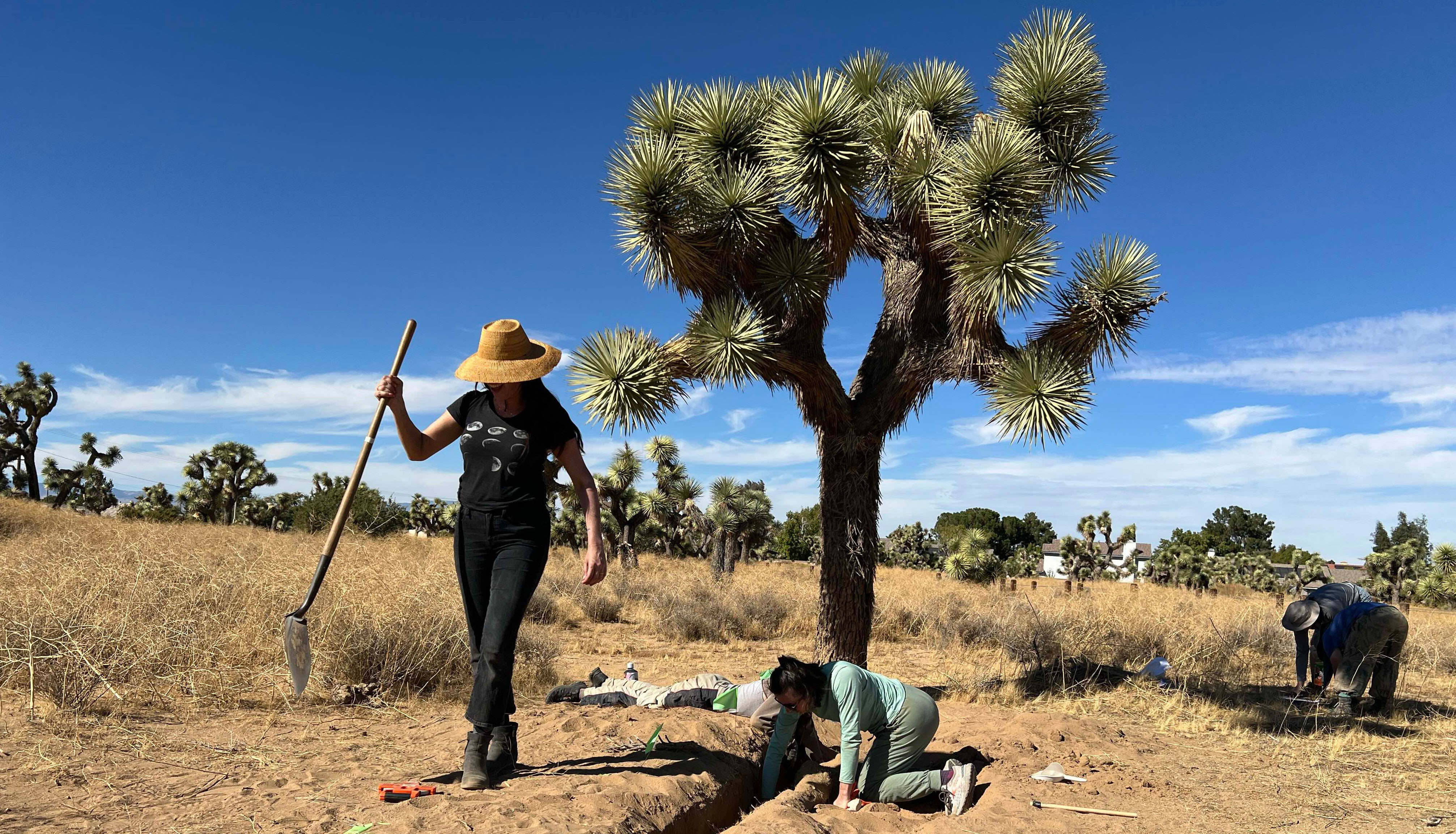 A bright sunny day. A Joshua Tree is center frame. A woman digs in the foreground, and a ditch makes its way through the center of the image. Another woman walks the other side of the ditch with a shovel in her hand.