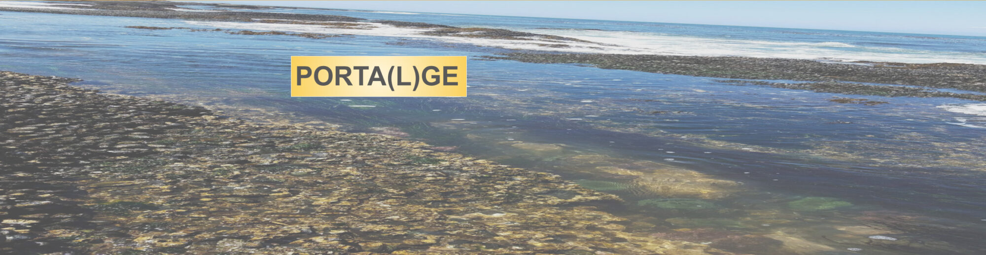 Banner style layout showing a shallow tide pooling over rocks, underwater details visible beneath the surface. The word PORTA(L)AGE appears in bold yellow, merging ideas of ‘portal’ and ‘portage’ within the tidal scene.