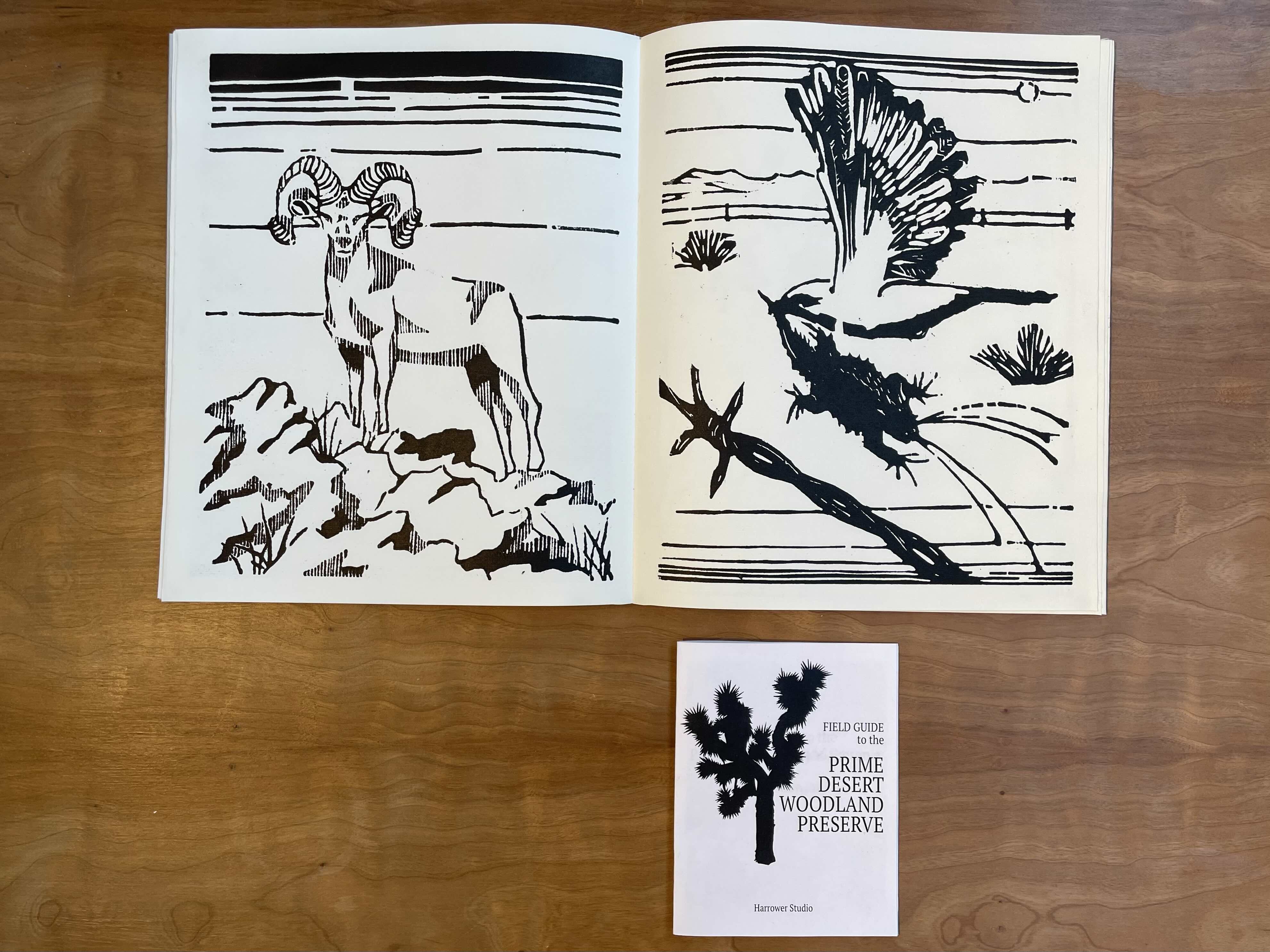 An open page in the 'field guide to the prime desert woodland preserve'. On the left is a black and white illustration of bighorn sheep, and on the right is an illustration of a chickadee in flight.